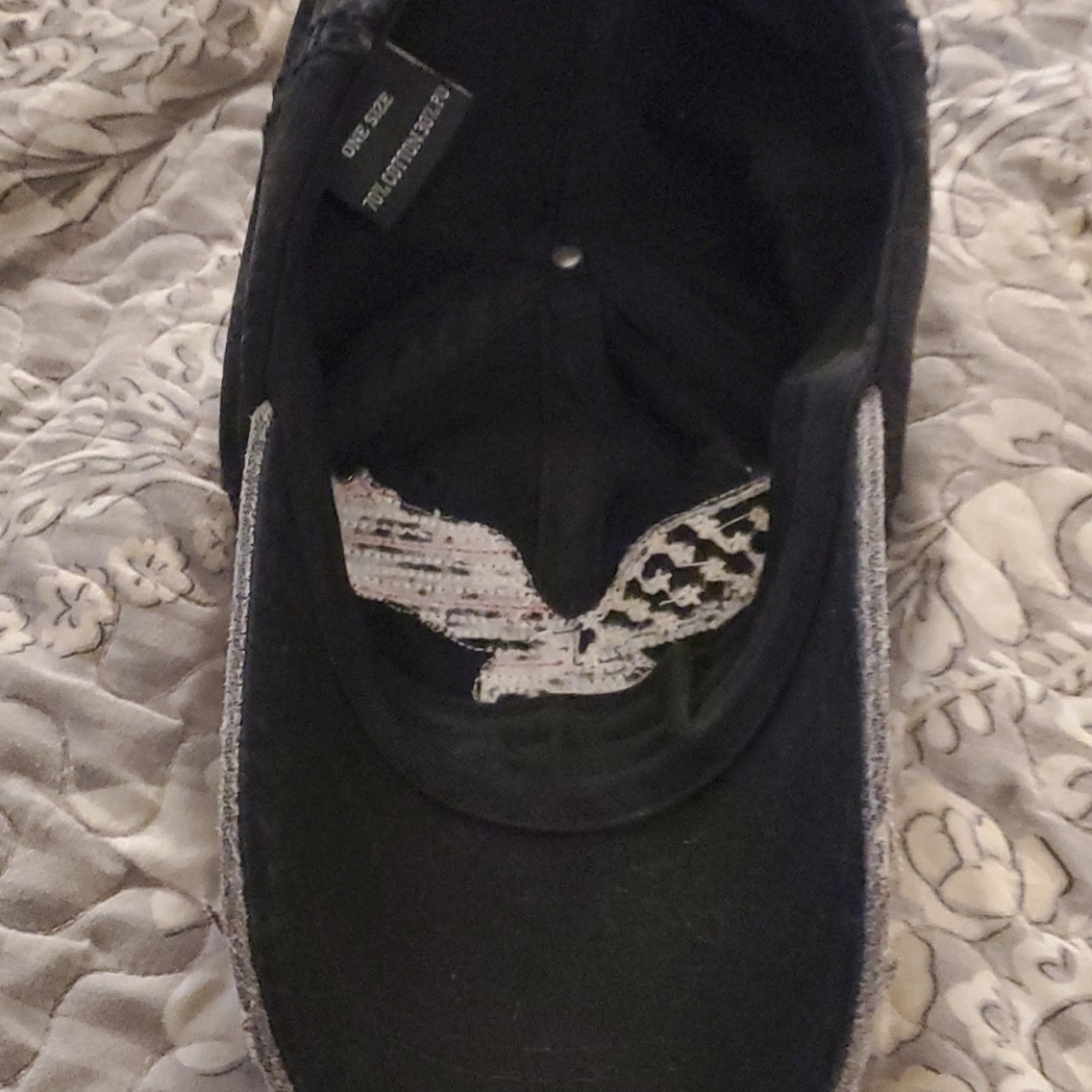 American Eagle Hat - image 2